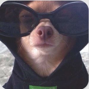 Meet your Posher, Kelly